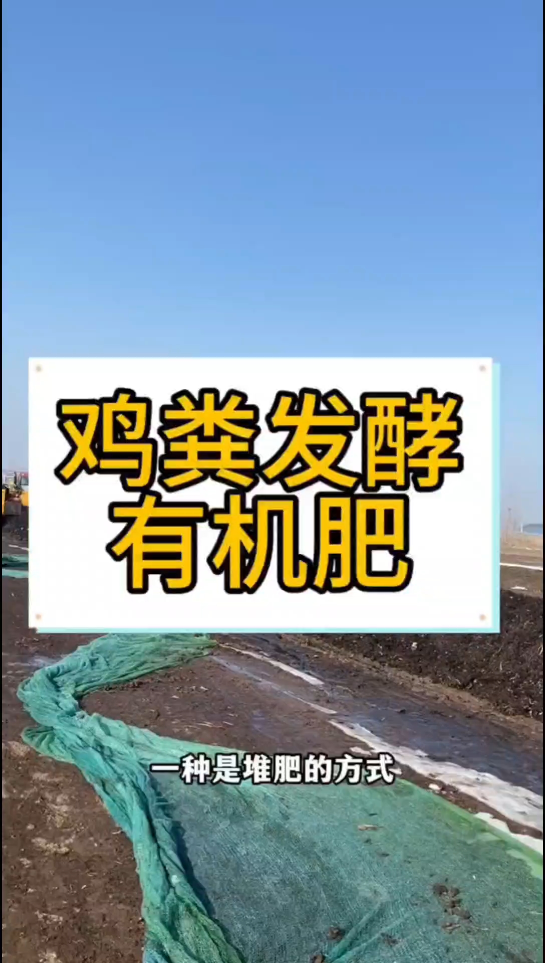 还是那句话:鸡粪发酵是肥,不发酵还是粪。今天详细讲讲发酵过程