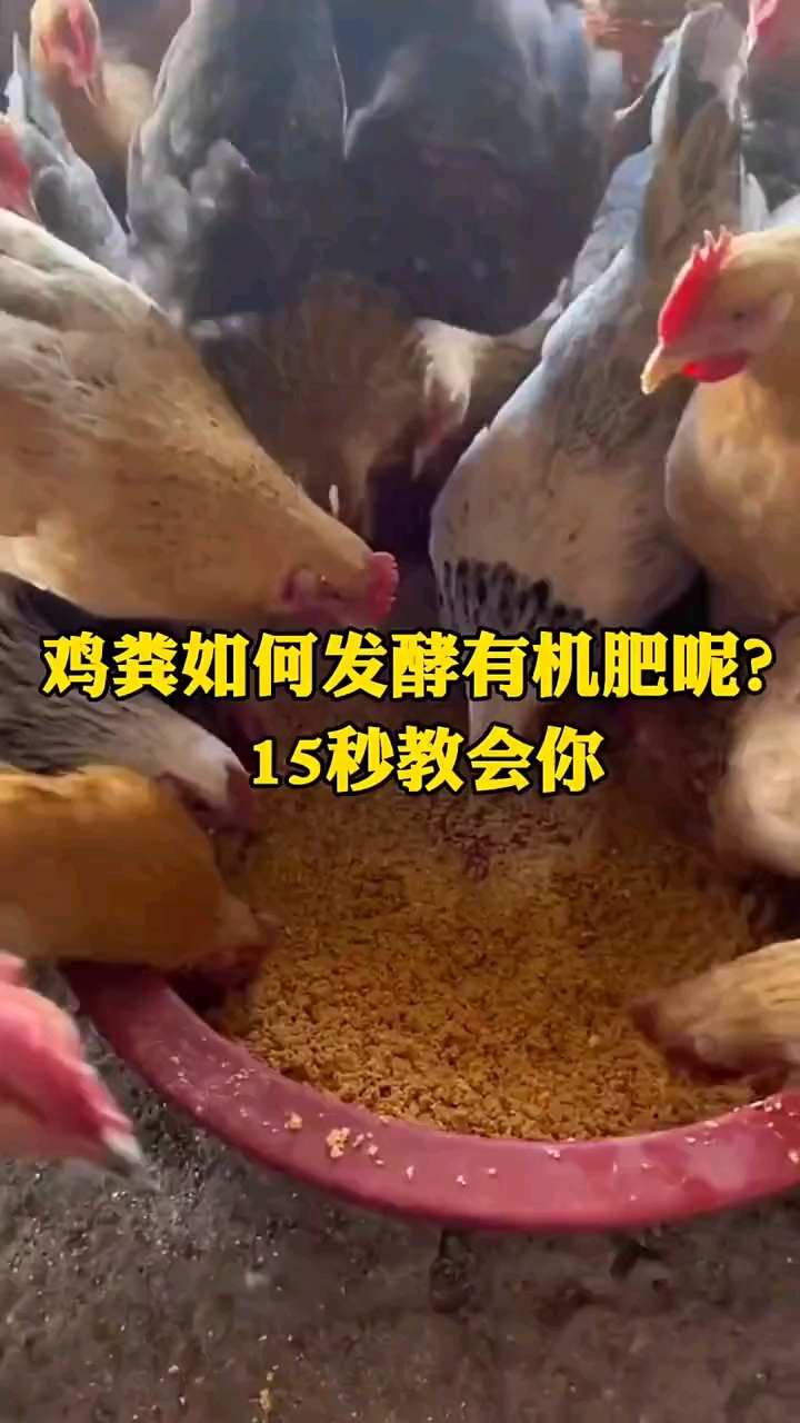 15秒教会你自制有机肥。鸡粪、猪粪、牛粪、鸭粪等都适用这方法
