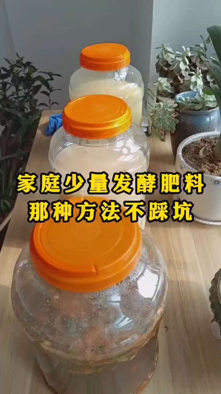 有阳台花园、庭院菜地的小伙伴,家庭少量发酵不踩坑的方法