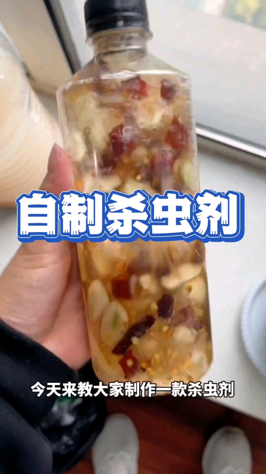 自制杀虫剂简单好操作,家庭种植讲究环保健康、无毒无害