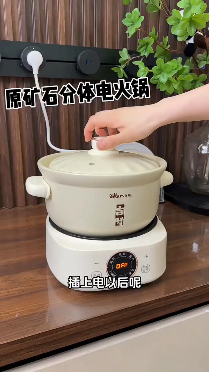 小熊（Bear）电砂锅 电炖锅 煲汤锅 炖汤锅 电炖盅 焖炖