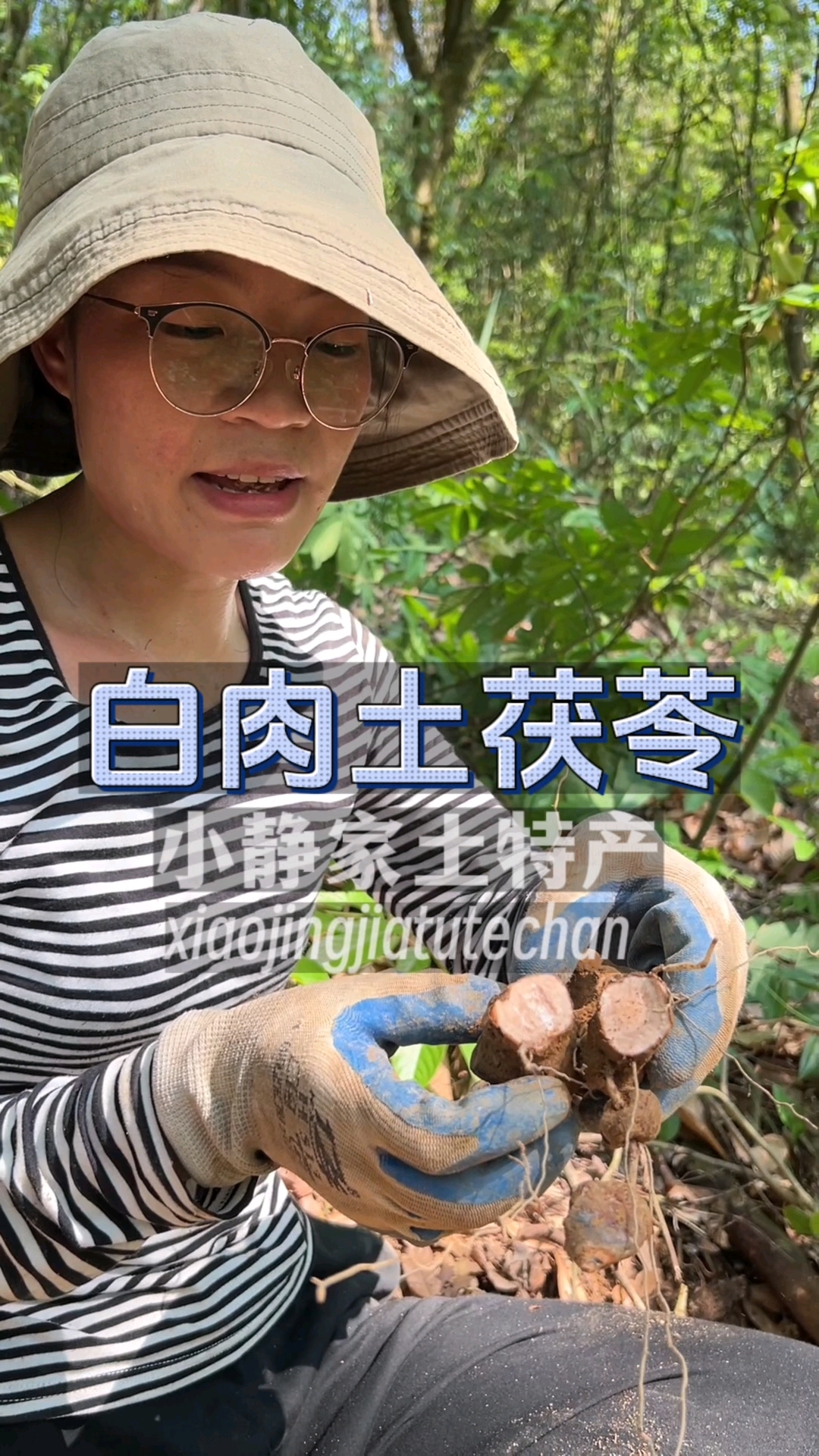 野生土茯苓,两广地区朋友煲汤必备神器,你们知道它的好处是什么