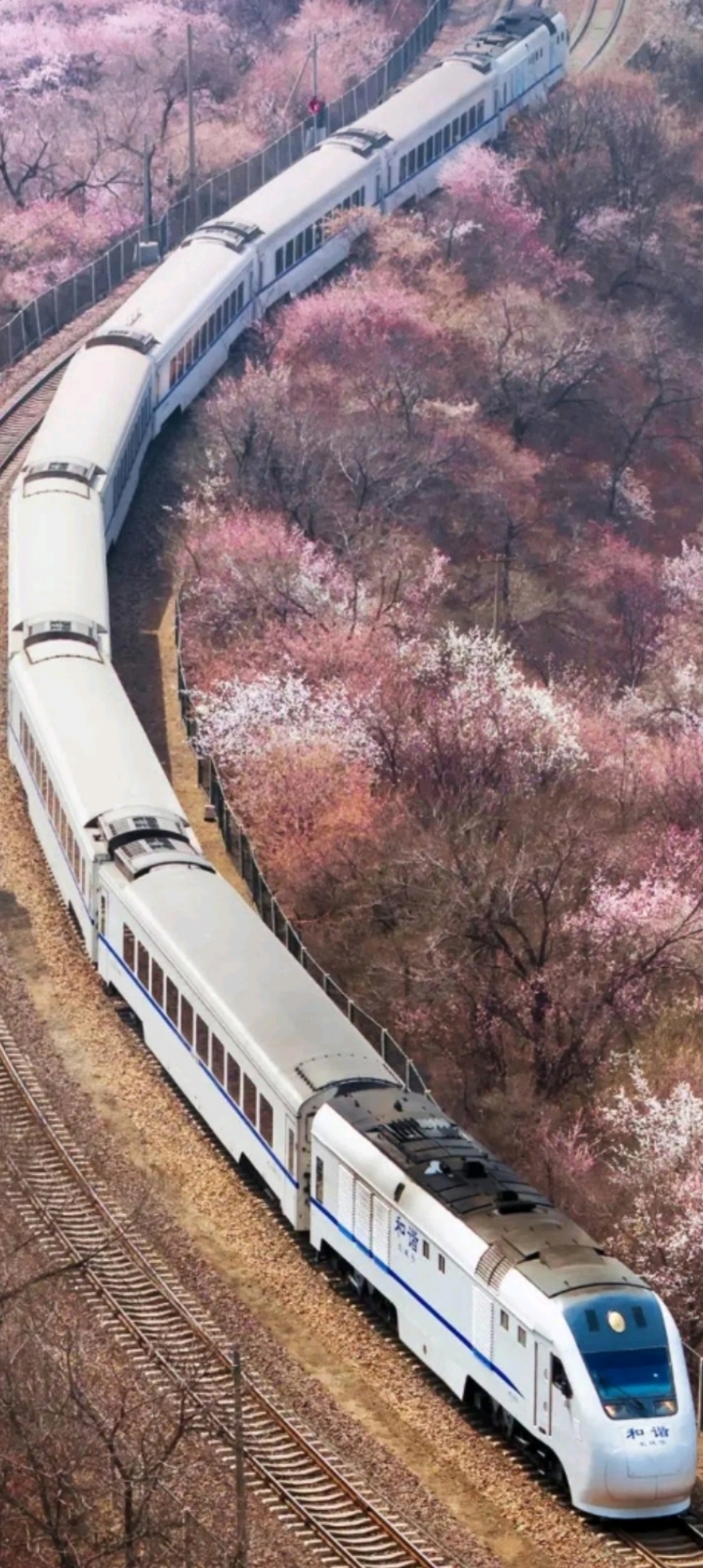 中国火车的一些型号