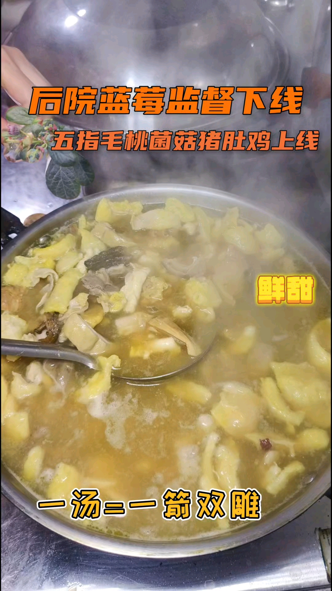 农村日记|蓝莓监督落幕!暖心菌菇猪肚鸡汤接棒