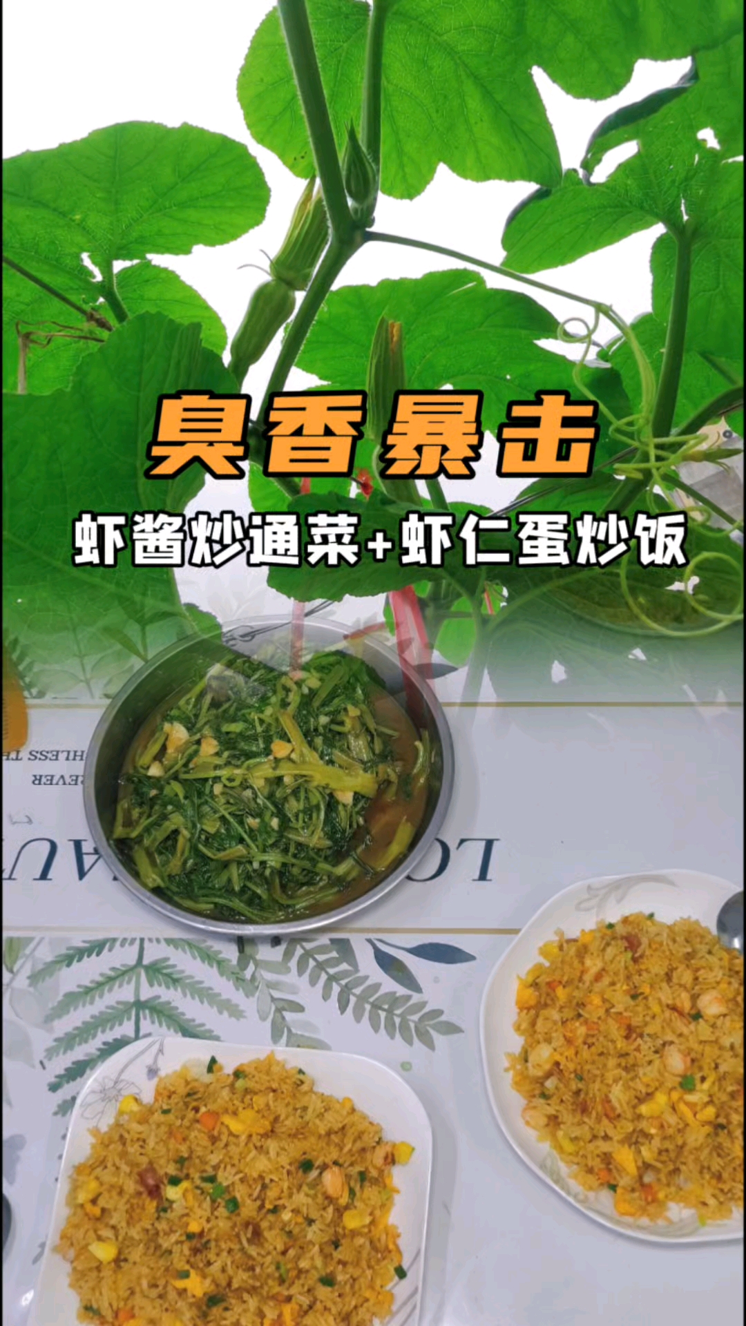 农村日记|广东妈妈自制虾酱炒通菜虾仁蛋炒饭平凡日子里的小确幸