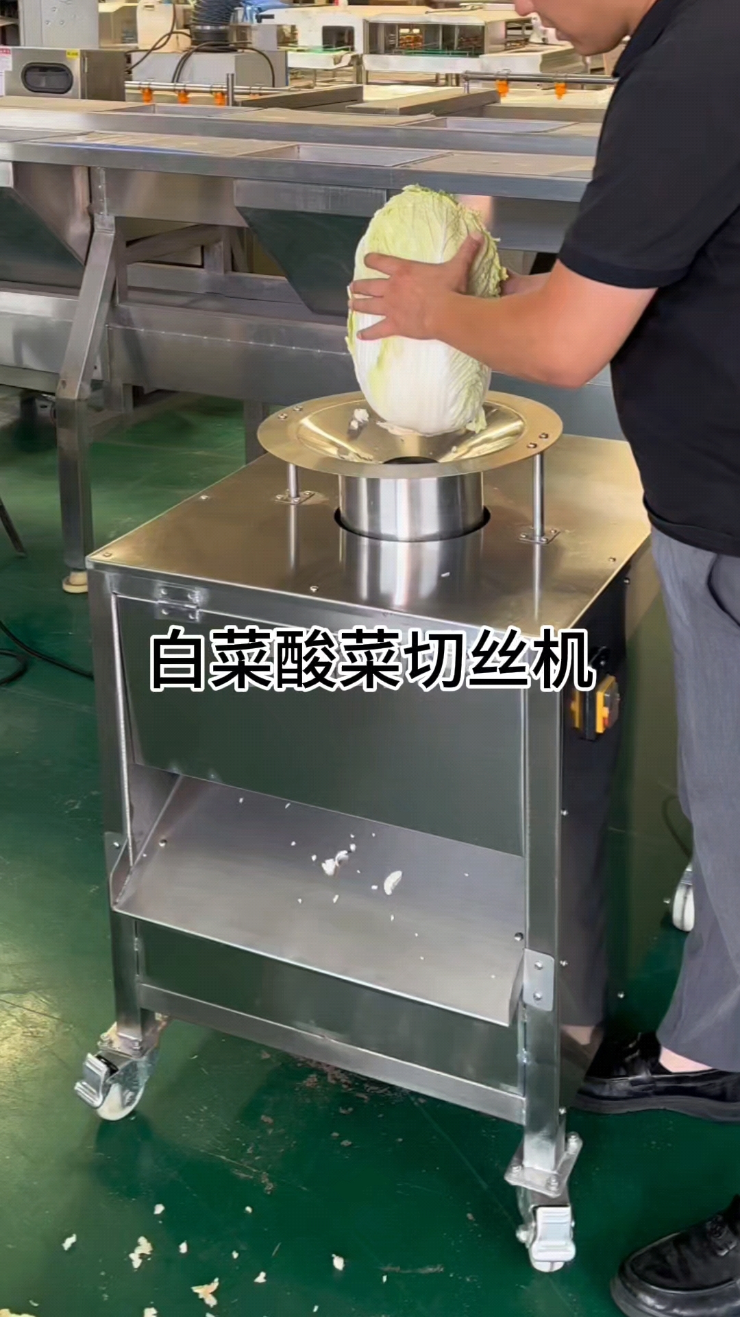 白菜去芯机白菜切半机白菜切丝机#酸菜切丝机 #包菜去芯机 