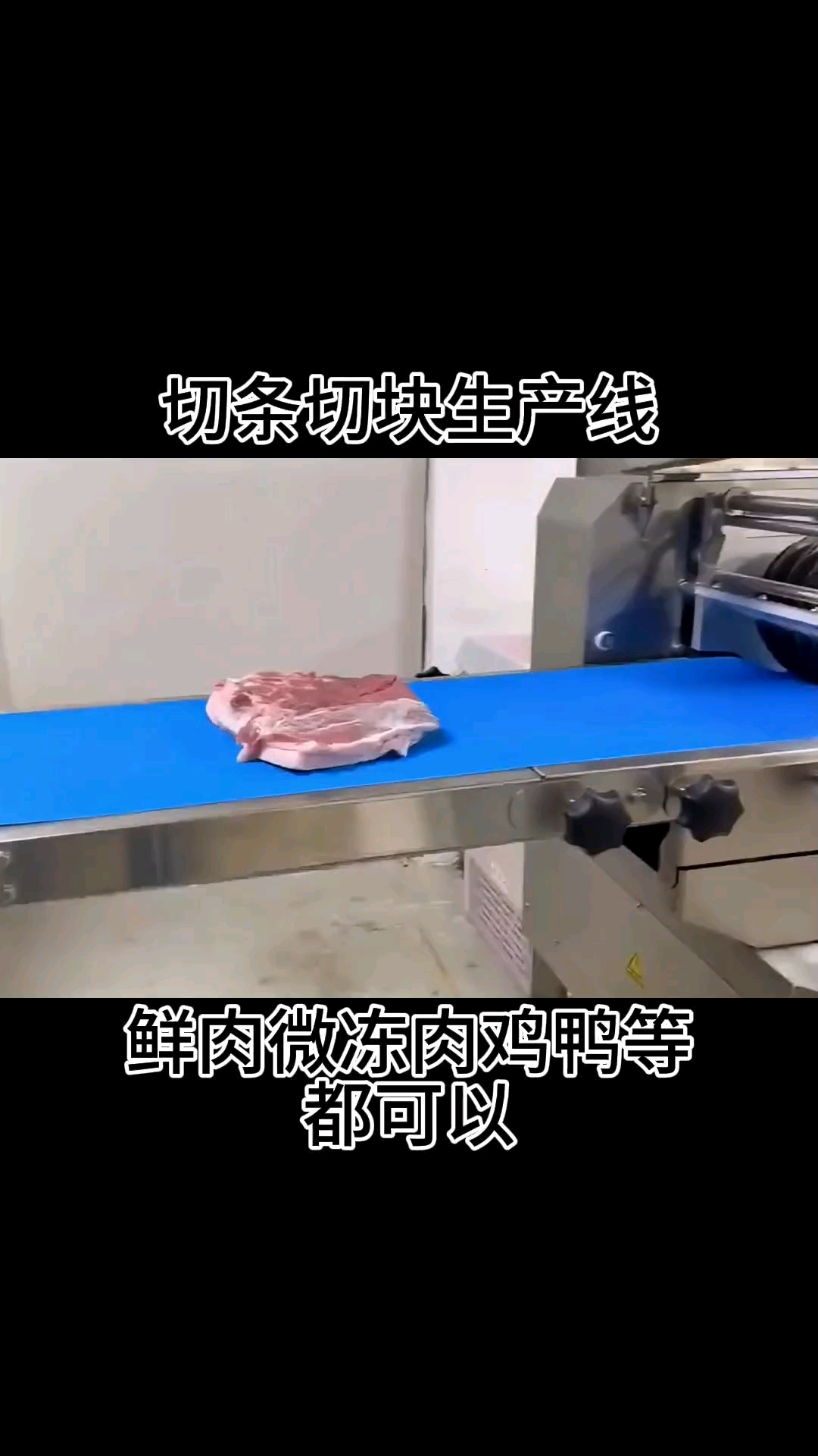 鲜肉切块机流水线省时省力#鲜鸡切块机烤鸭切块机切鱼块机