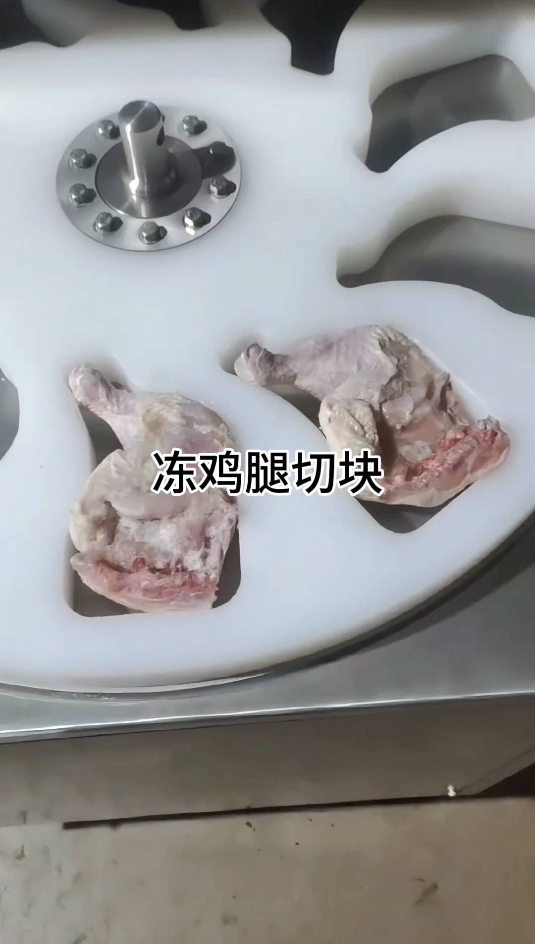 冻鸡腿切块机一小时切5000个#琵琶腿切块机 #鸡边腿切块机