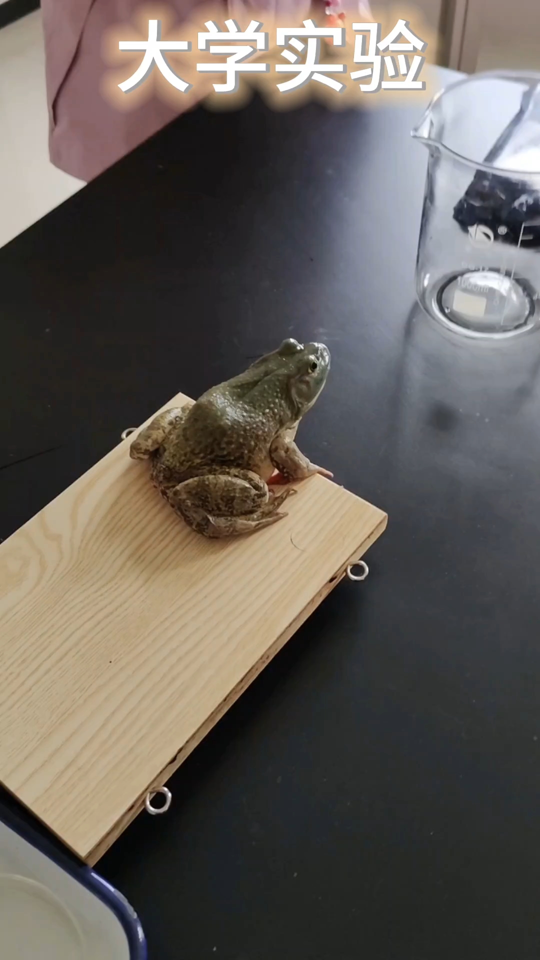 分享视频