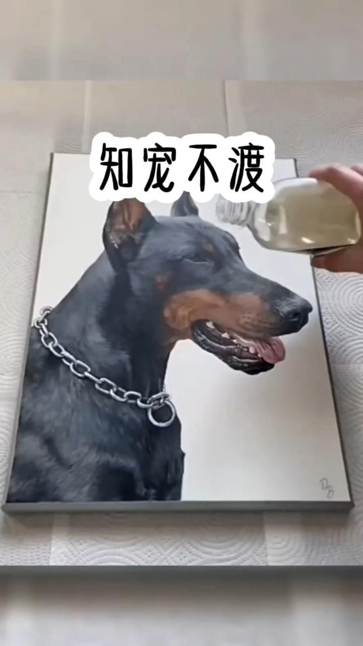 和我在他白月光之间,他永远选择他白月光