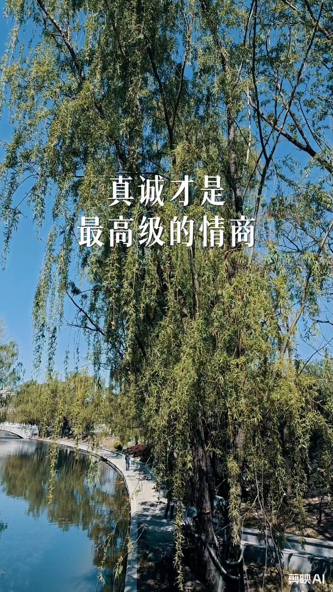 真诚才是最高级的情商#春日公园打卡##治愈系风景##文案太戳心了#