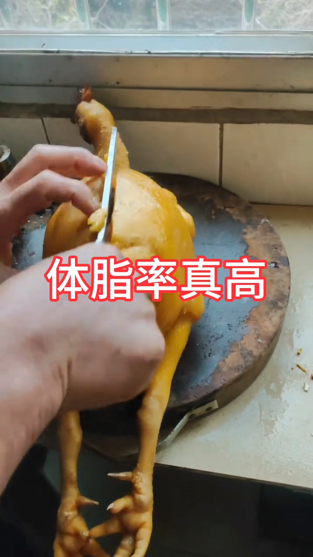 这是脂包鸡吗,体脂率这么高!网友:仍然鸡油鸡我,永远高唱我歌