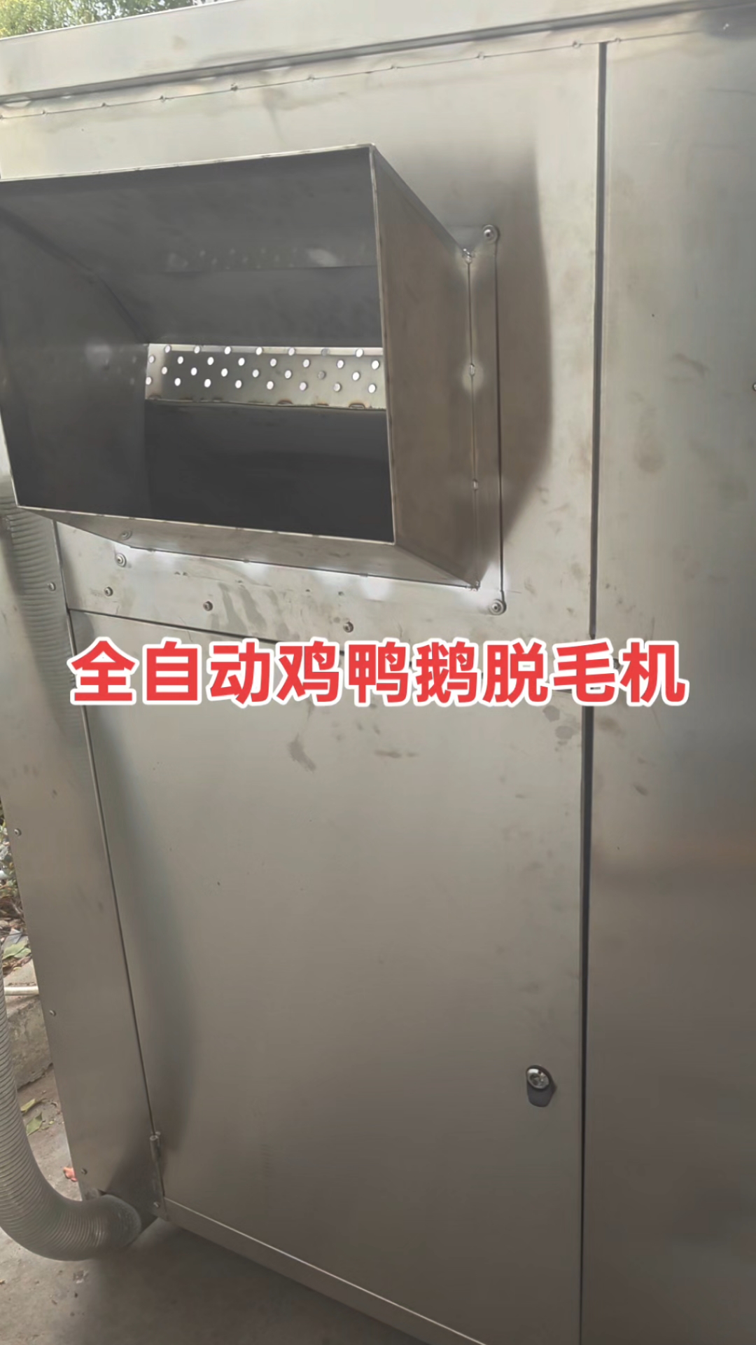 全自动鸡鸭鹅脱毛机,自动淋血,自动烫毛自动脱毛,自动出料,