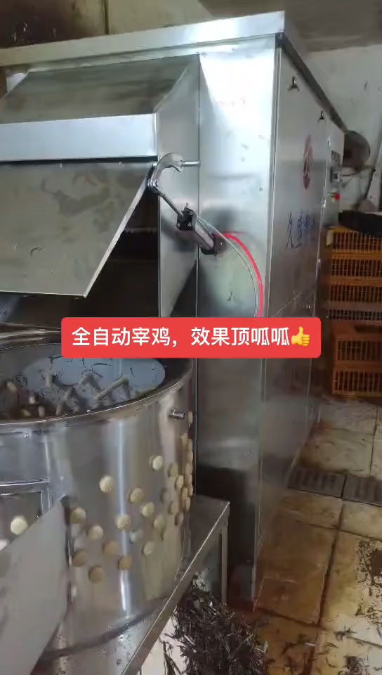 这种全自动家禽脱毛机,宰鸡又快又轻松!
