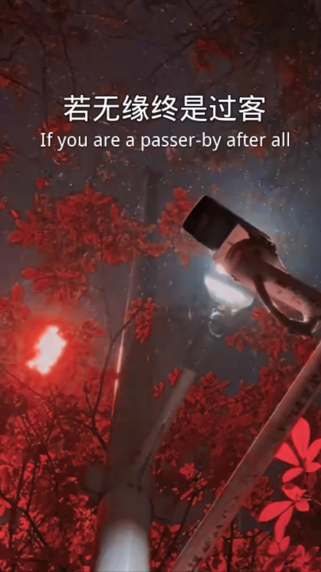若无缘终是过客#情感#伤感语录#