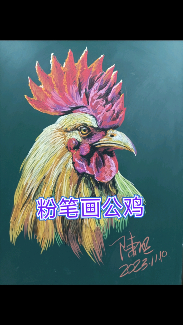 粉笔画公鸡,不一样的粉笔画,手绘动物,黑板报,陈明作品