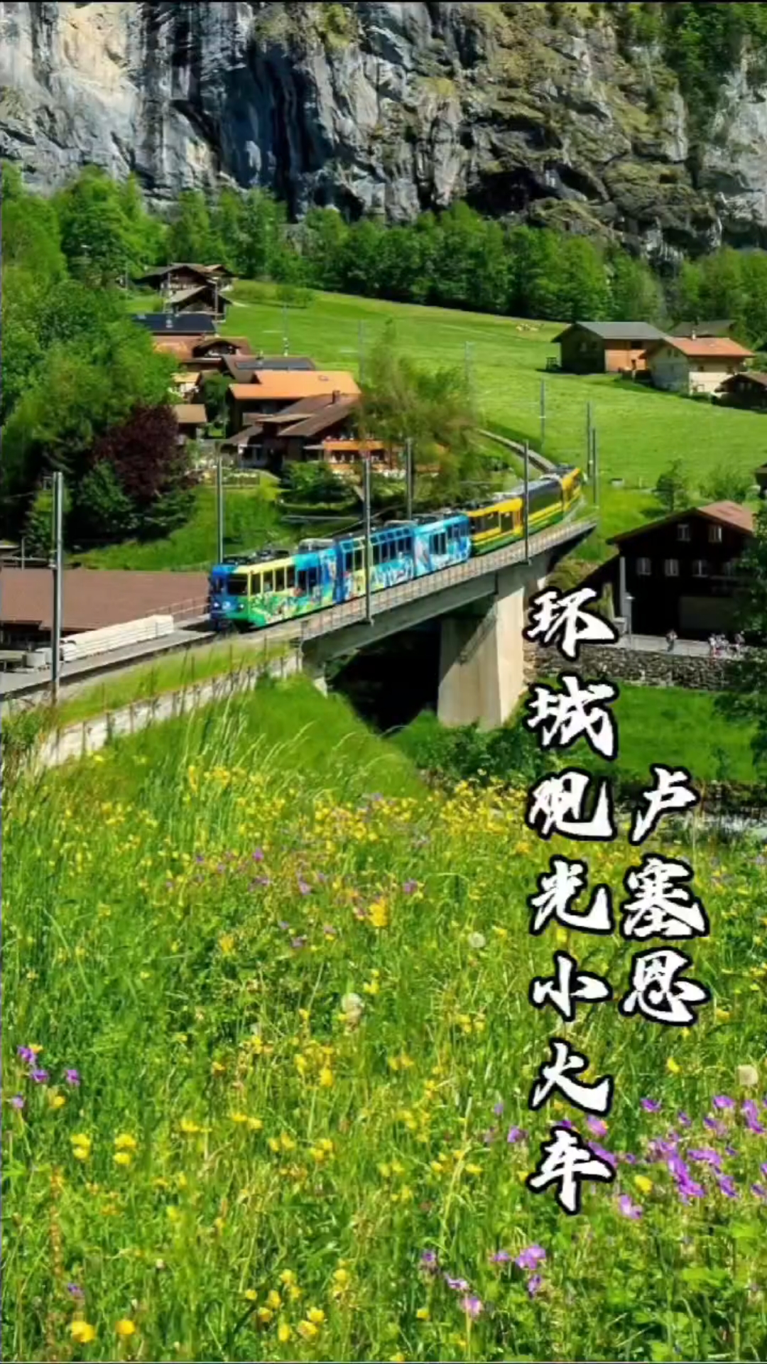 去卢塞恩坐环城观光小火车,看瑞士全景!