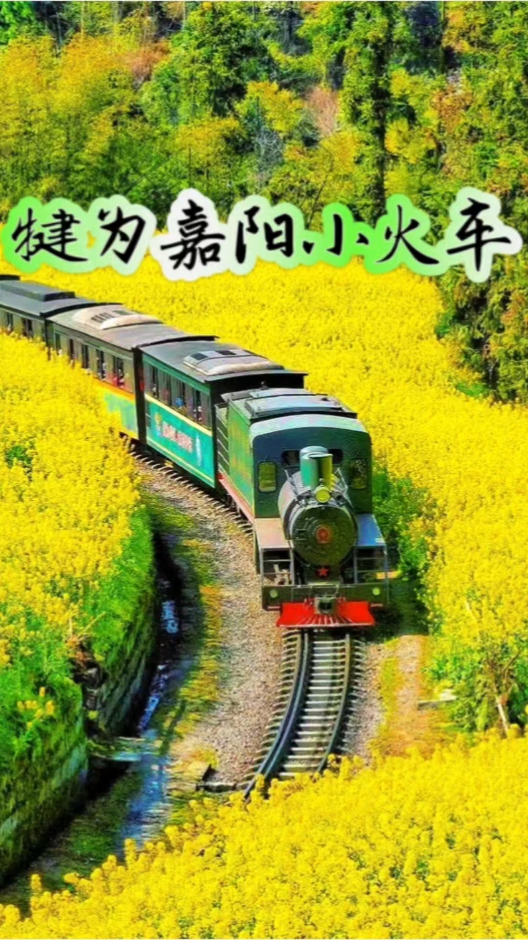 犍为嘉阳小火车|开往春天的复古蒸汽列车