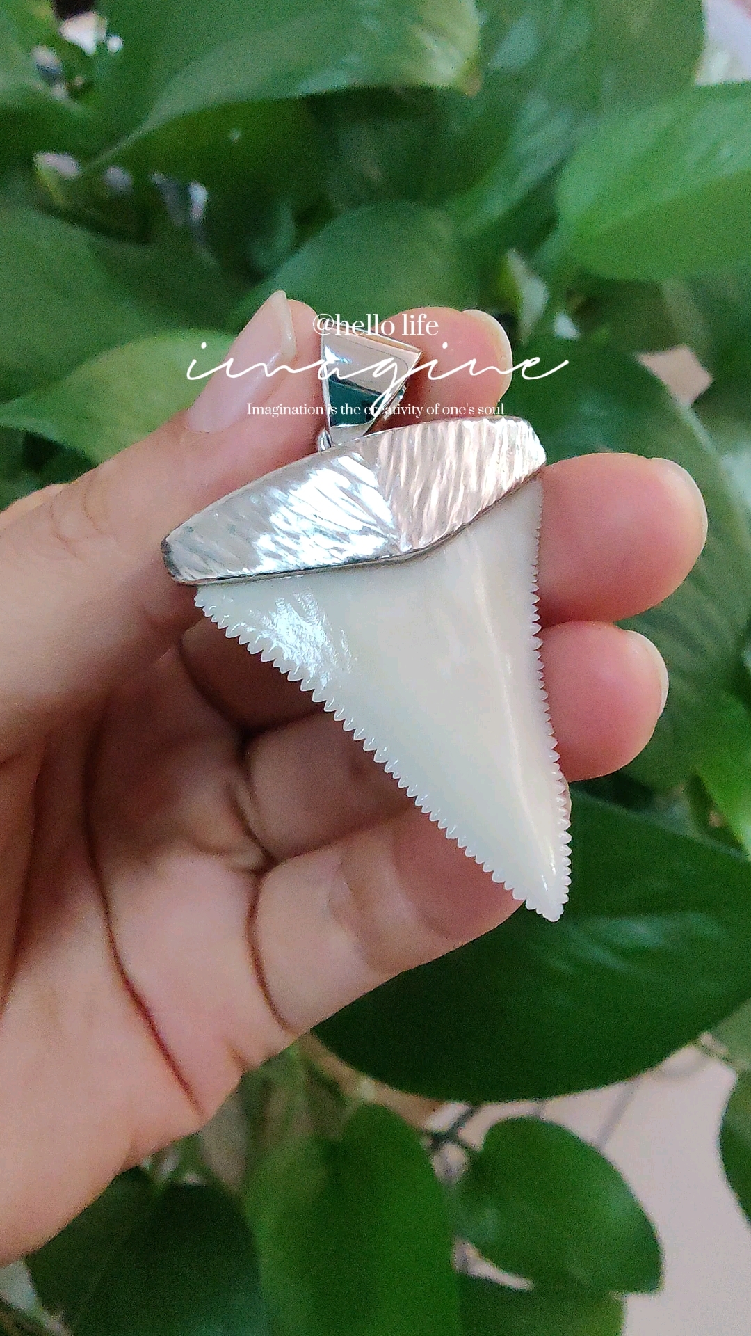 鲨鱼牙包边吊坠铂金950