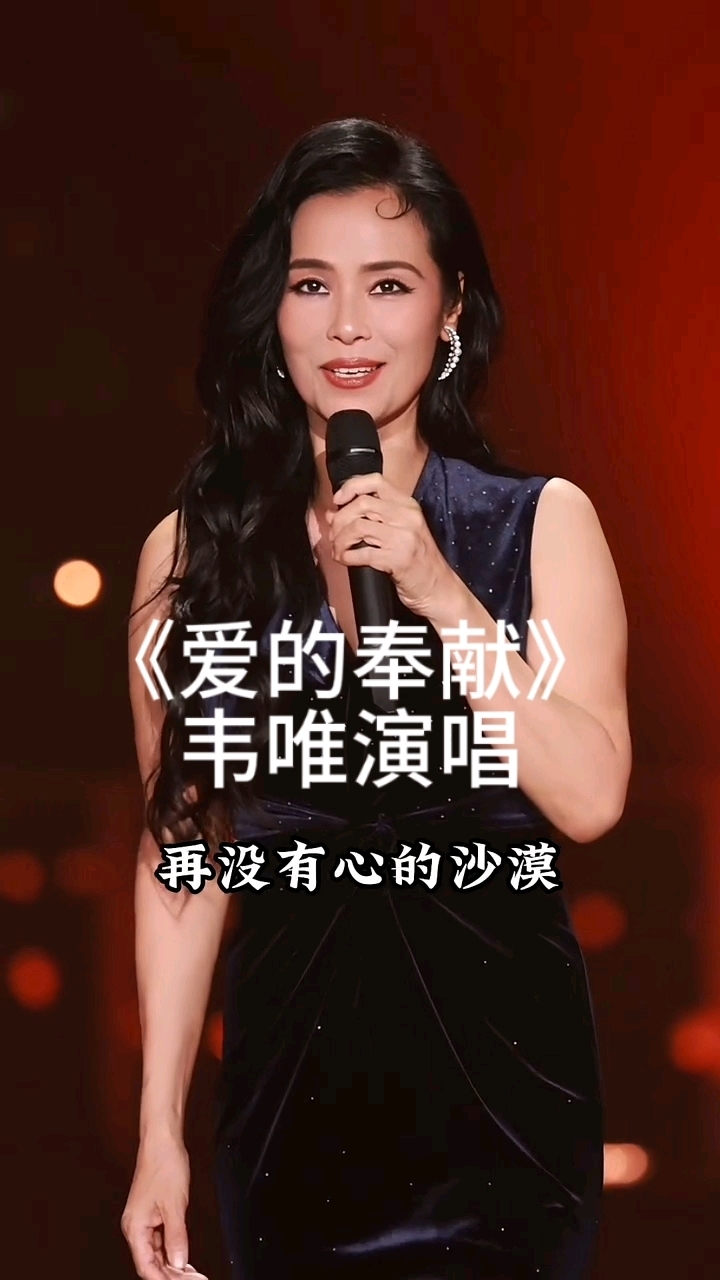 《爱的奉献》韦唯演唱#经典老歌#好听经典歌曲分享#