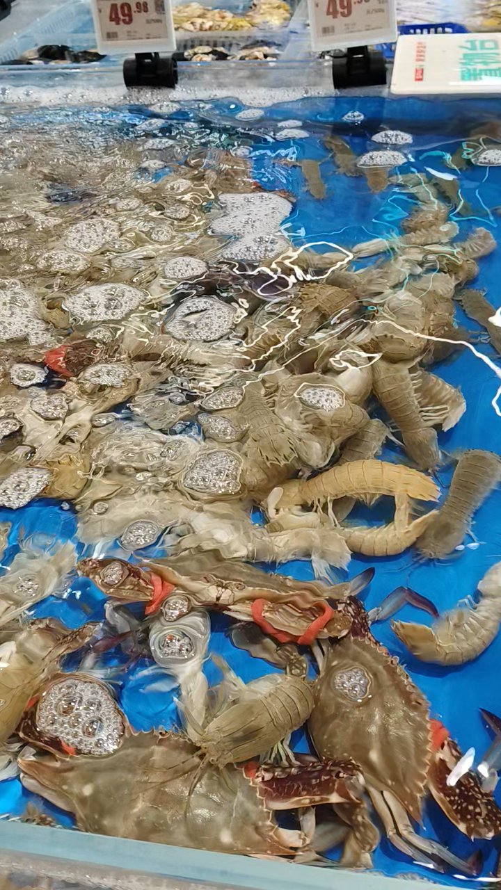 鲜活爬虾