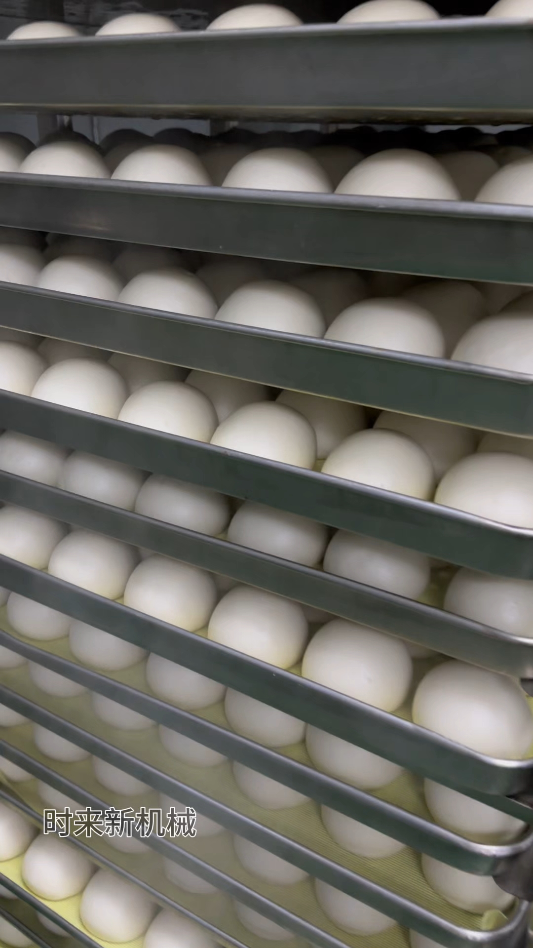 做馒头的老板看过来,馒头生产线自动化生产#馒头机#全自动馒头