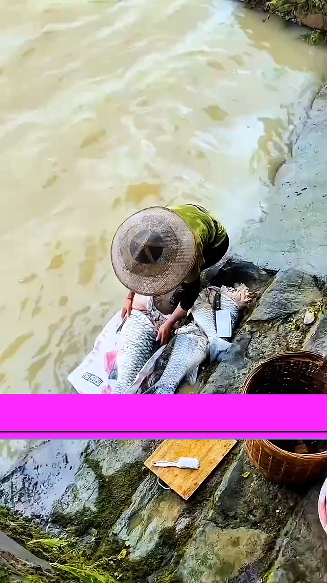 这是什么鱼,各个都没有鱼头!