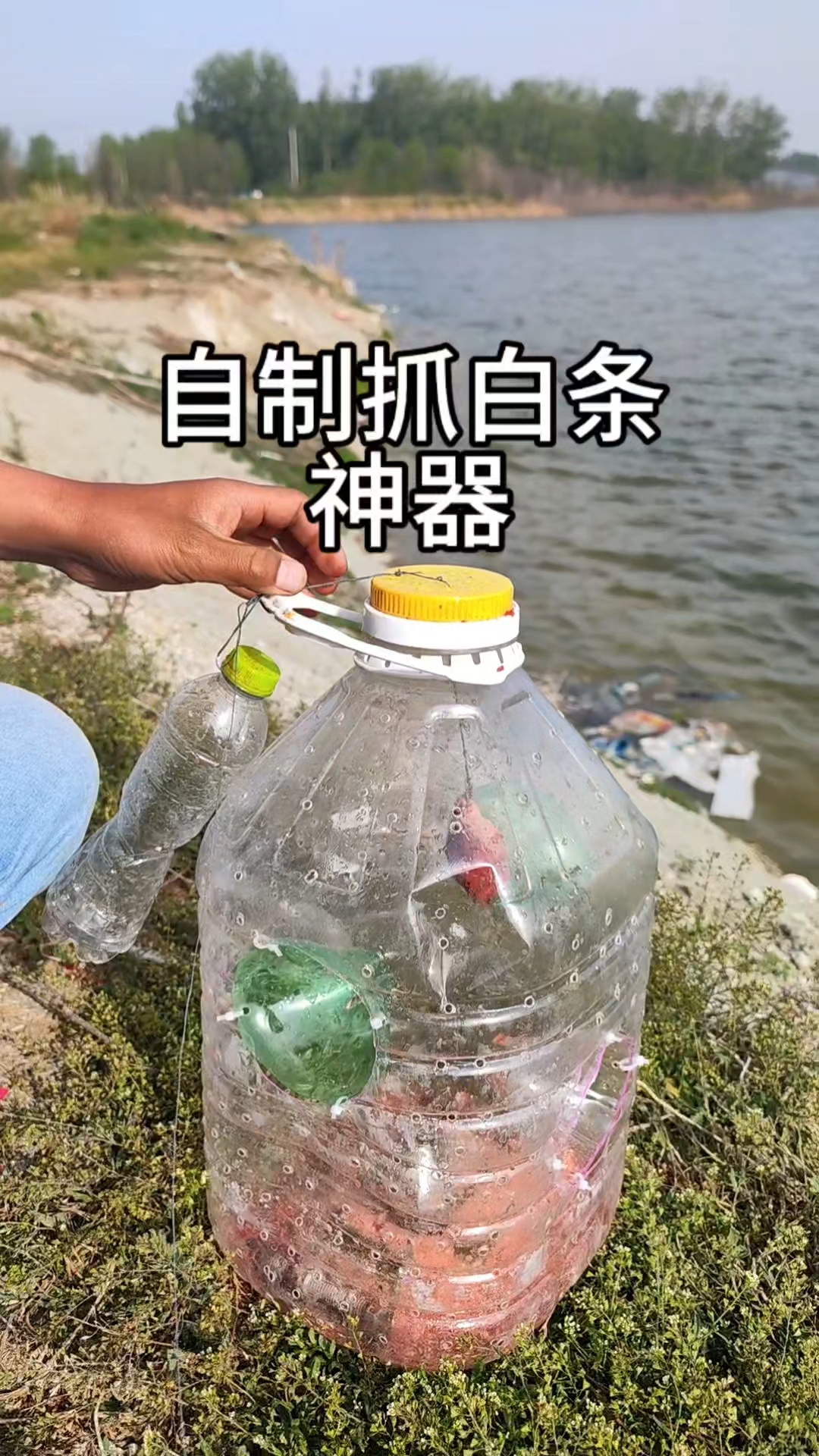 制作抓白条的神器。