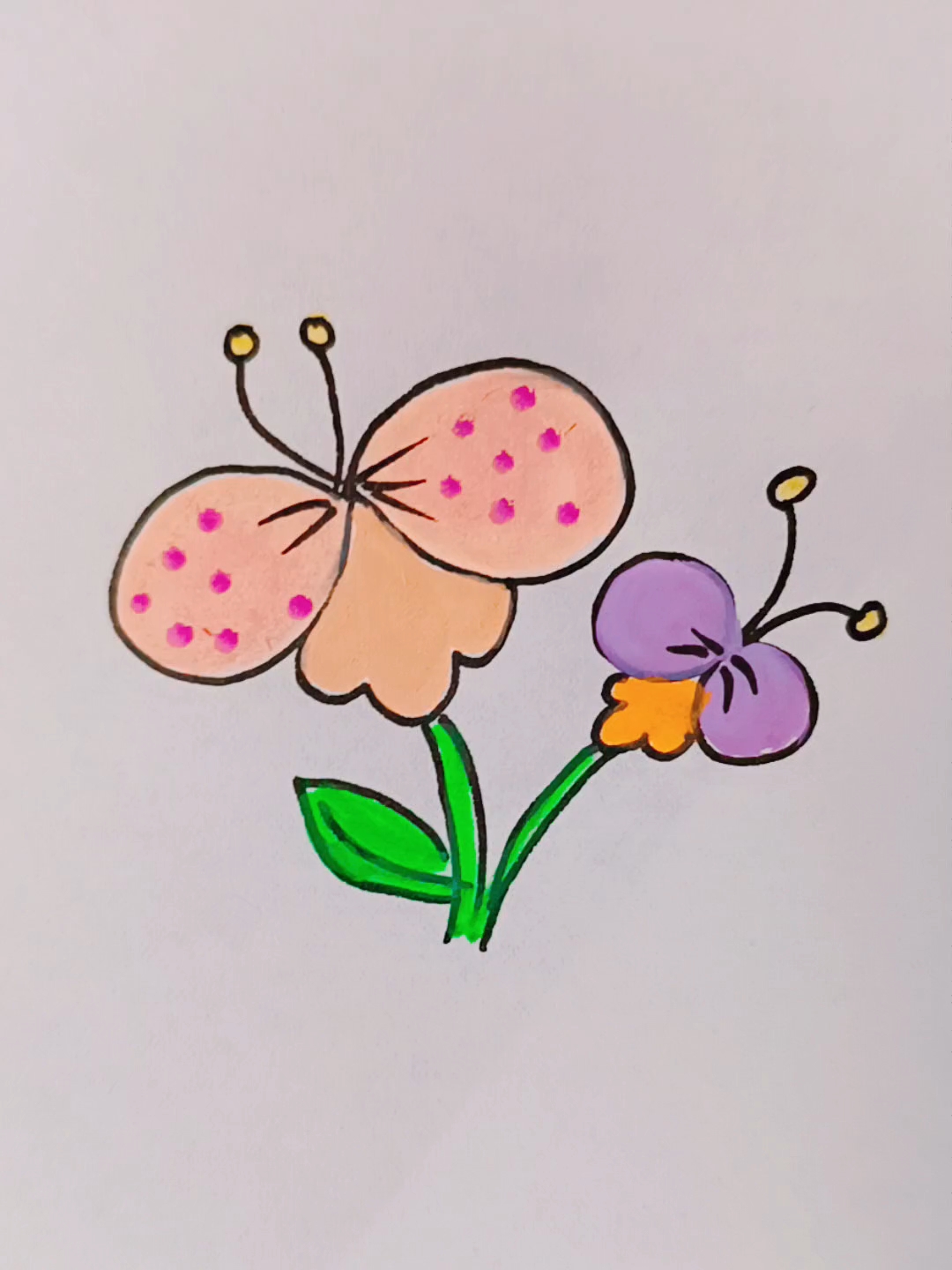 花朵简笔画,蝴蝶花怎么画