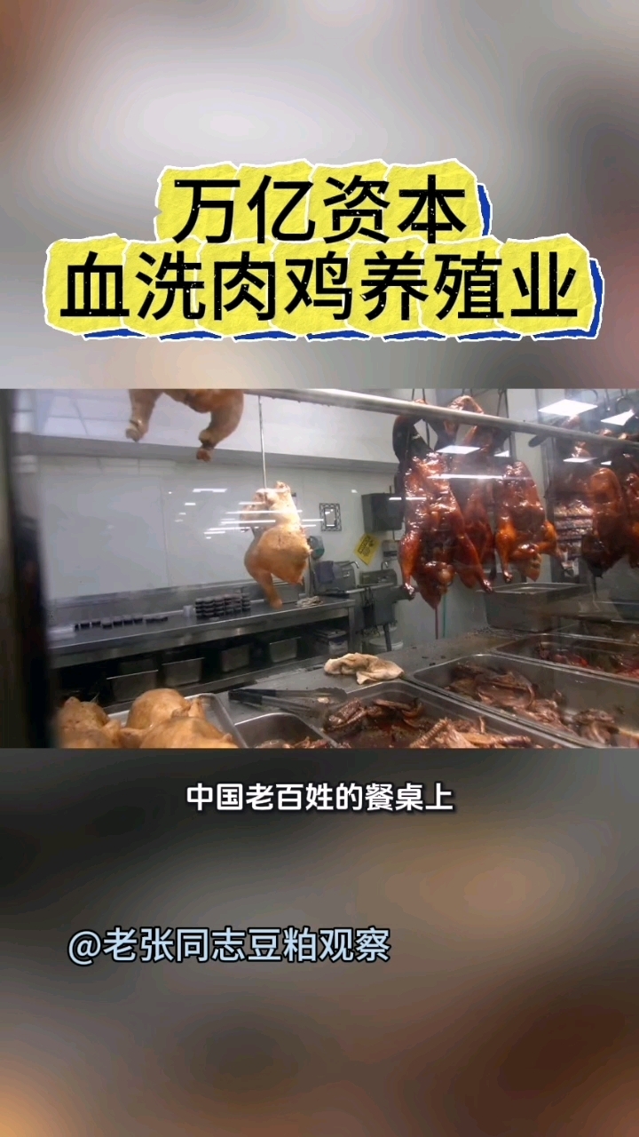 万亿资本血洗肉鸡养殖业#养鸡