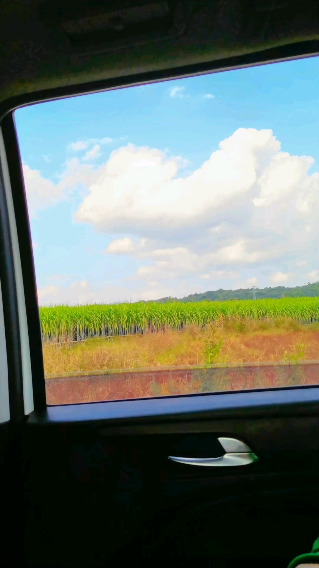哈尼族嘎汤帕节,新年快乐!