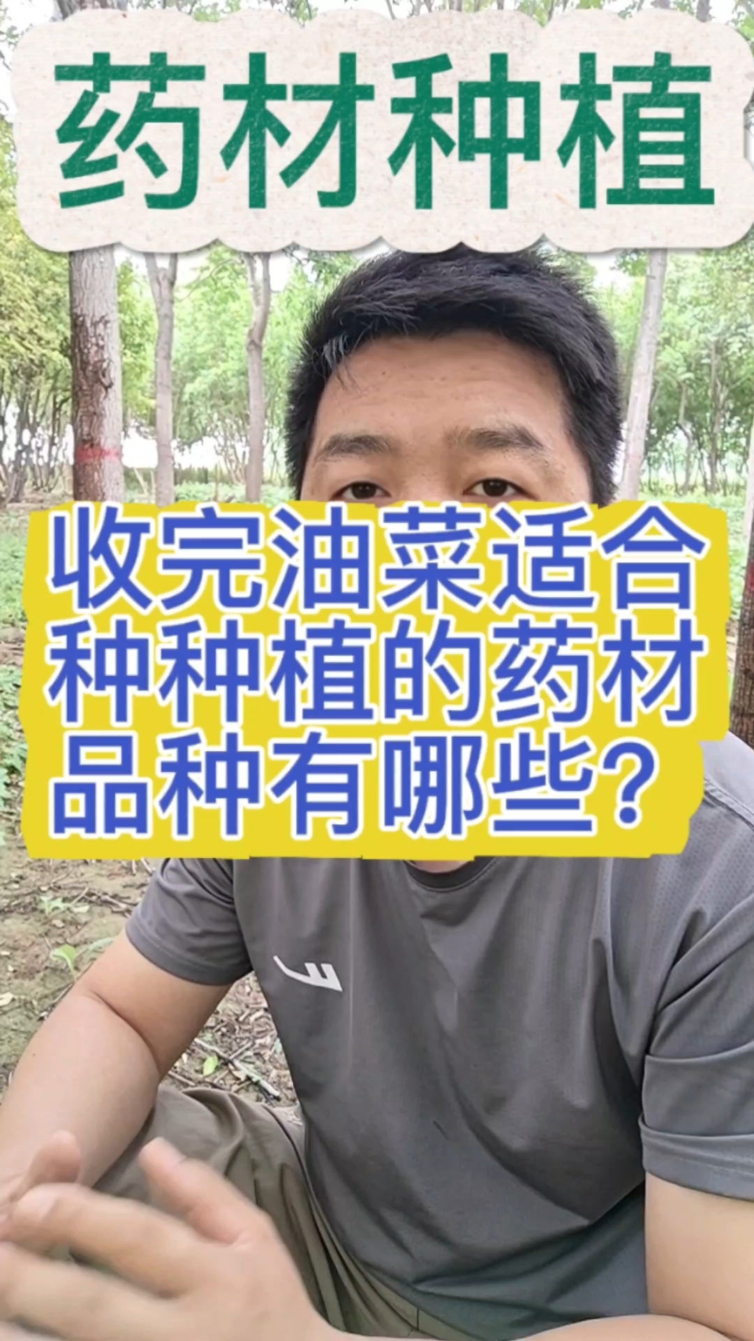 收完油菜适合种的药材品种有哪些?