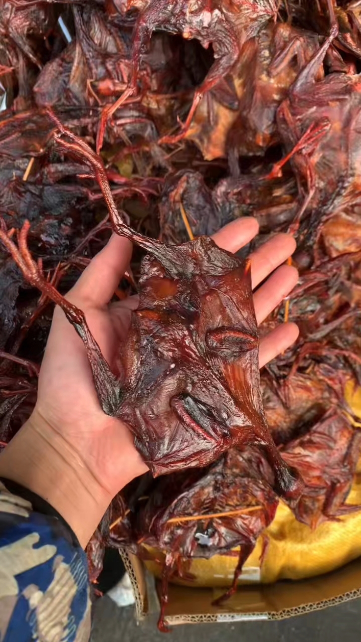 竹鸡,腊竹鸡你吃过吗?