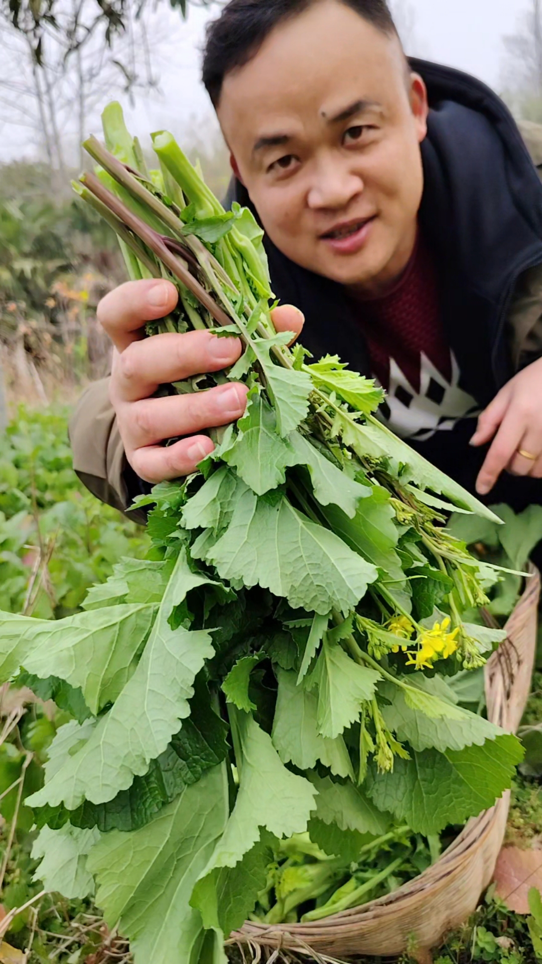 冲菜你吃过吗？我们湖南本地的野菜，有的叫辣菜又叫苦油菜