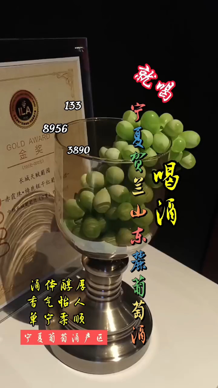 葡萄酒宁夏贺兰山东麓葡萄酒不仅是一种饮品更是地域文化的象征