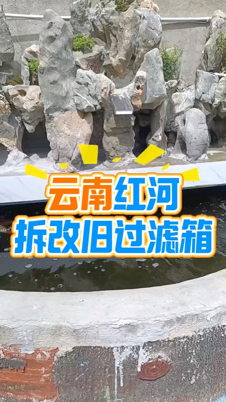 云南红河那个养着锦鲤、容量三吨水的鱼池,用的是不锈钢过滤箱,