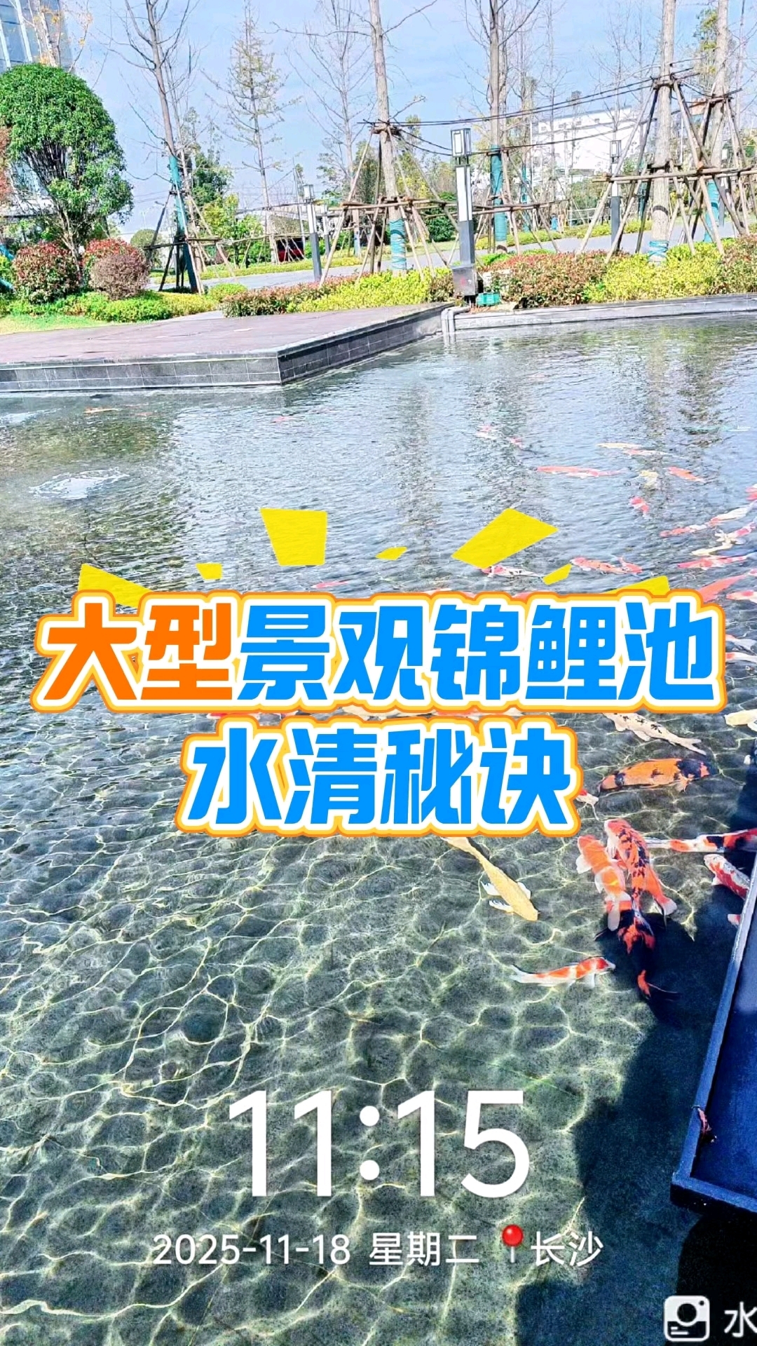 大型户外景观水体（锦鲤池）过滤核心方案 一、核心目标 水清不