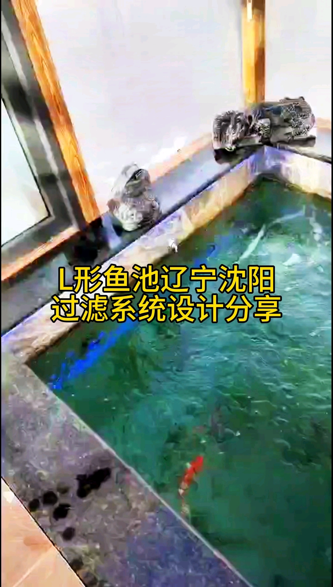 我们先看鱼池，再看过滤设备，最后给大家分享过滤图纸。总水量2