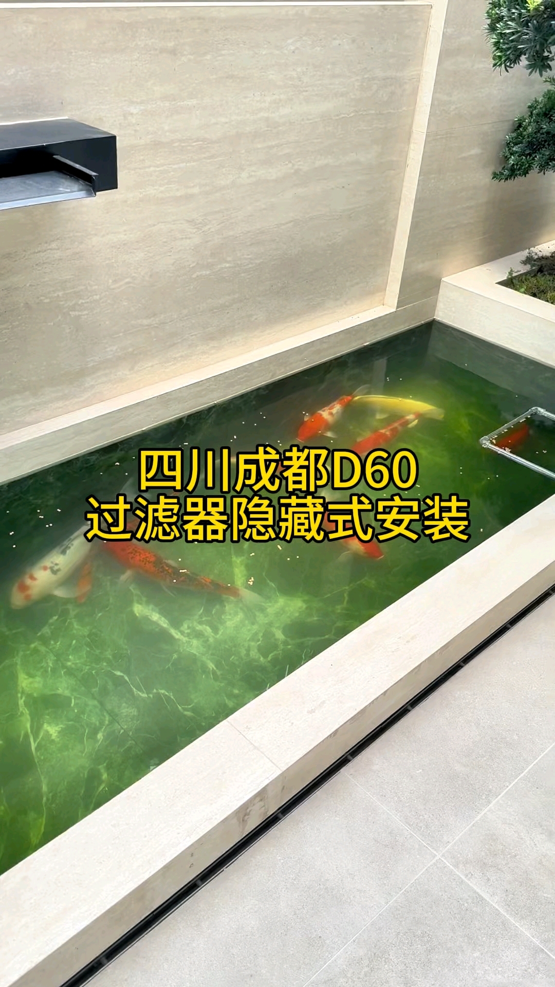 如果您的锦鲤鱼池需要隐藏式安装过滤器，那最好是提前进行设计。