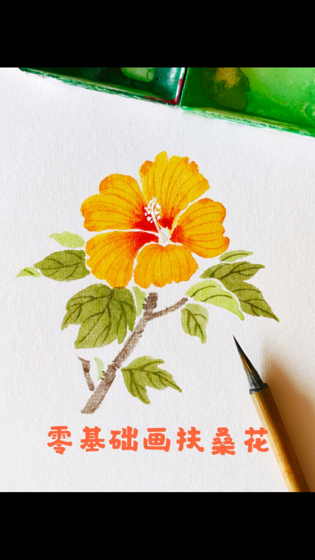 国画没骨扶桑花的画法