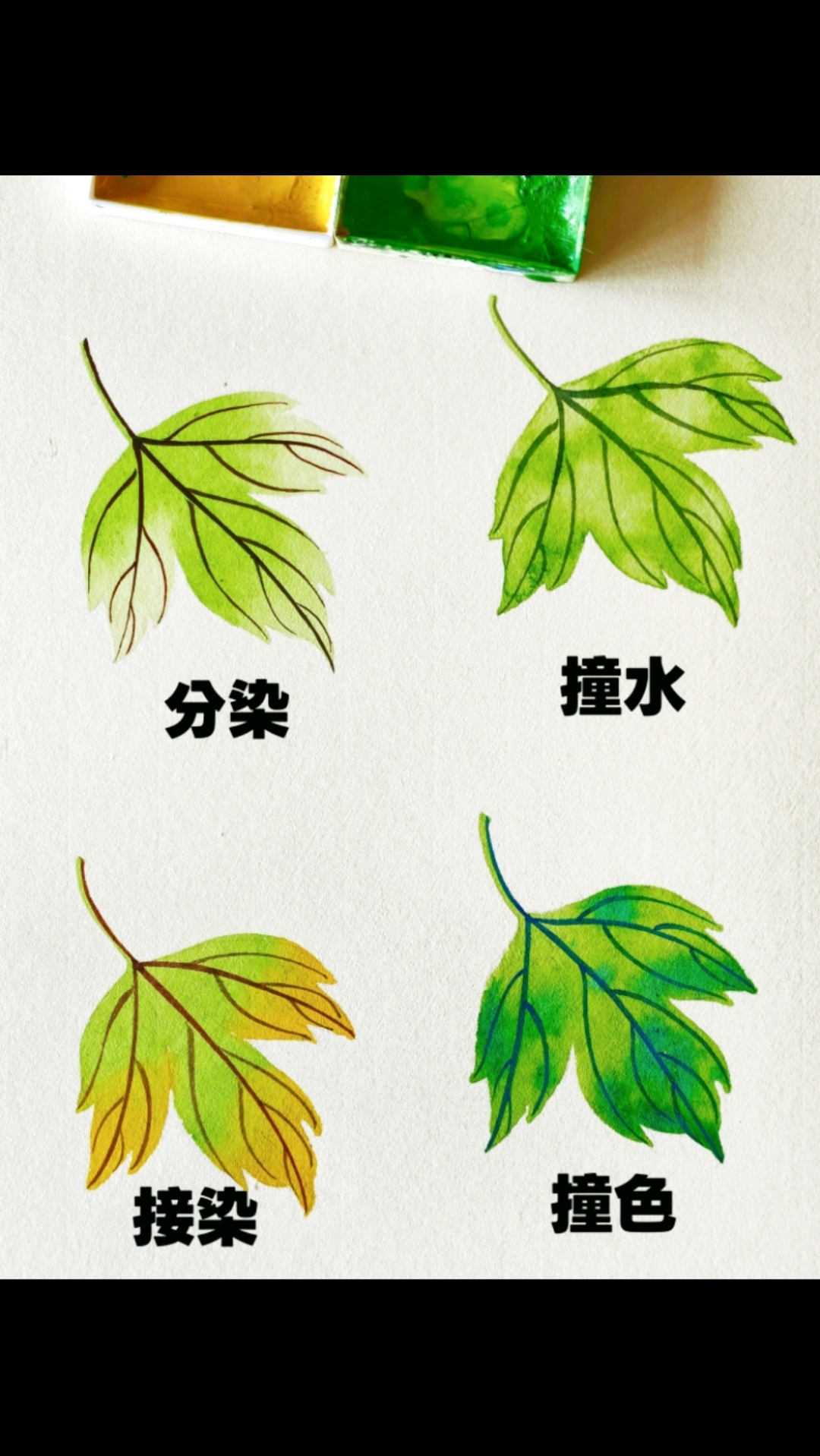 国画牡丹叶子4种画法#国画教学#