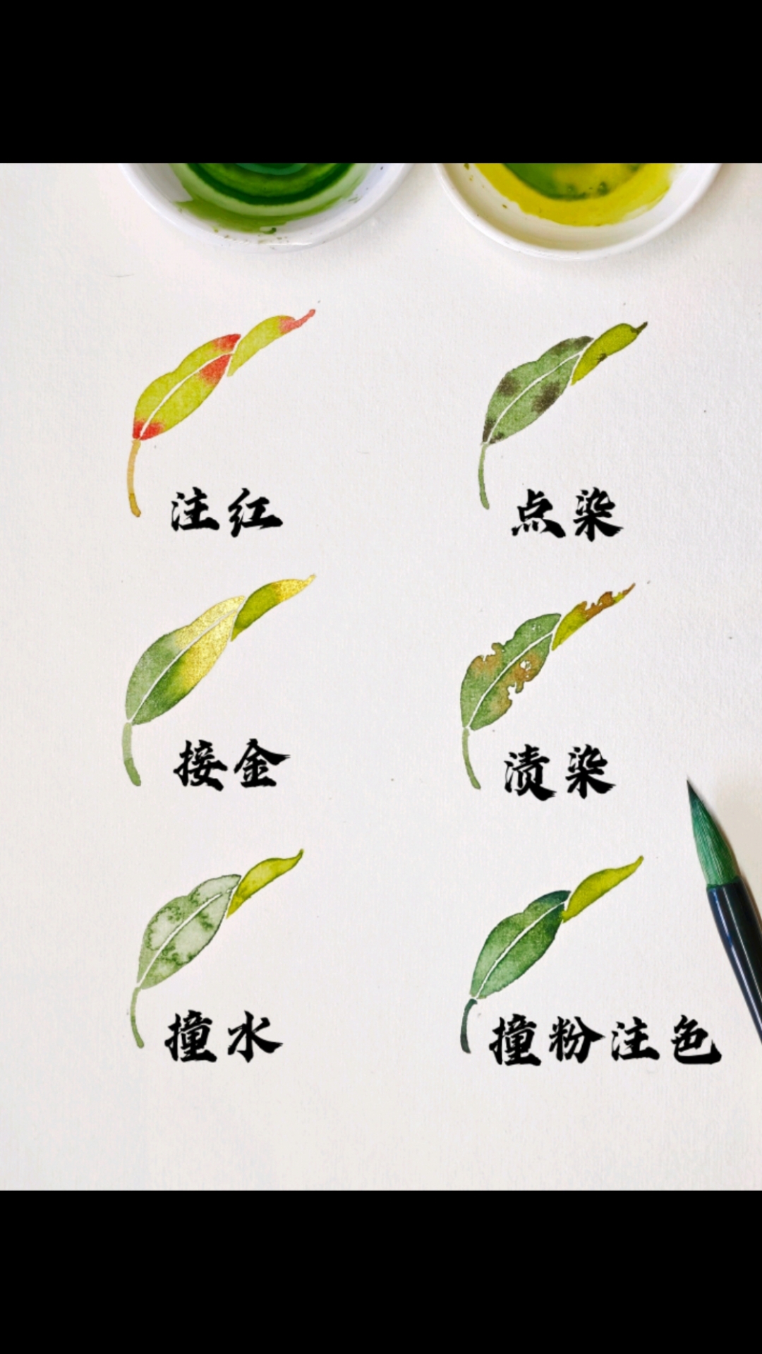 国画没骨叶子六种技法