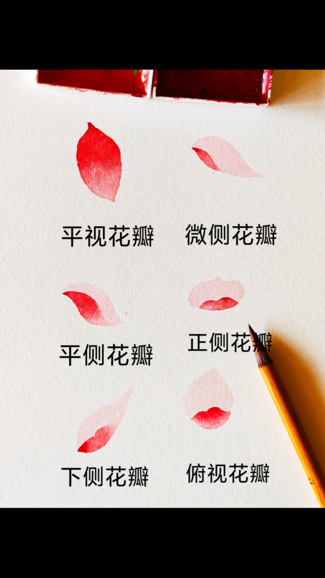国画没骨花瓣六种画法