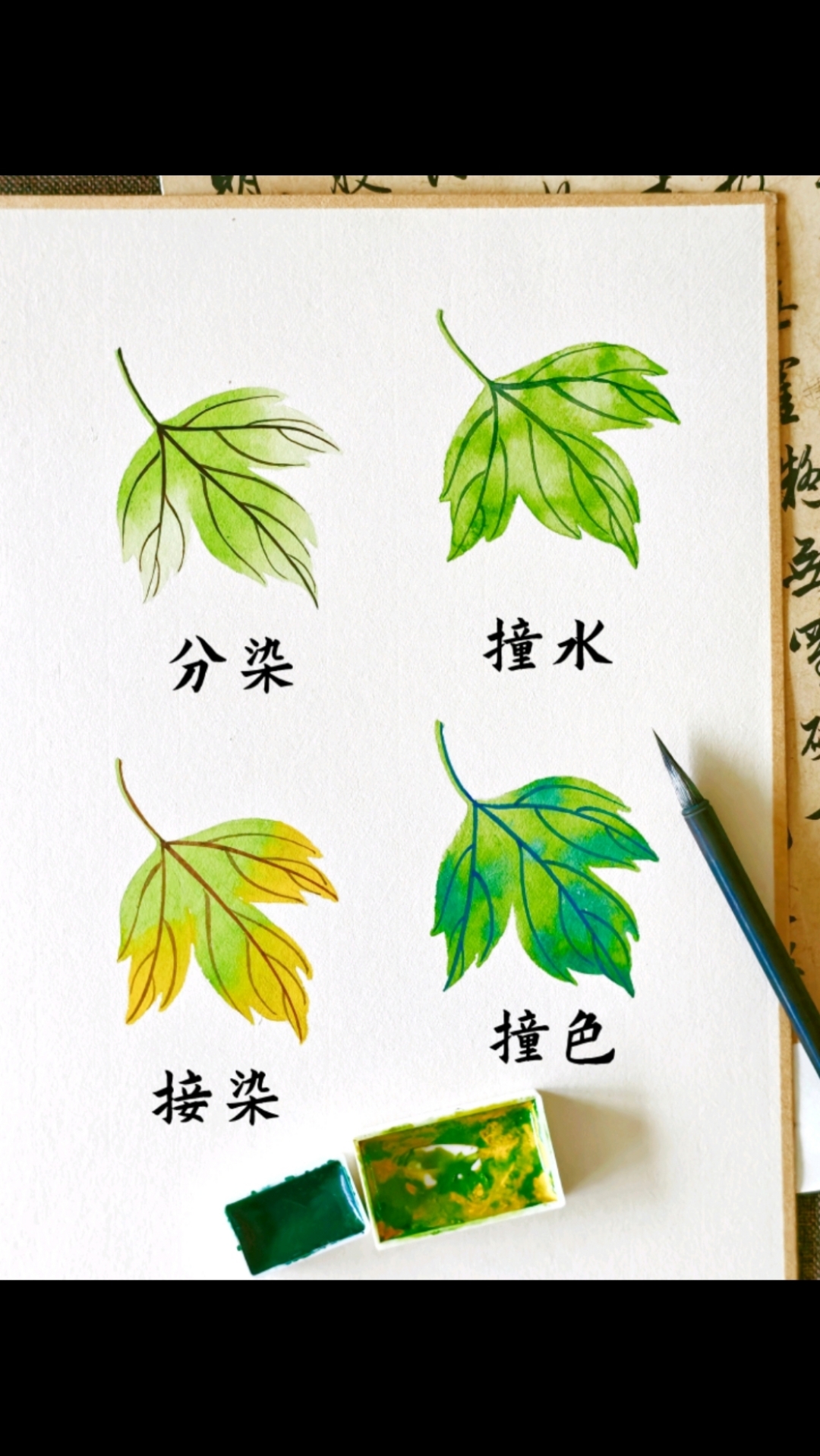 国画牡丹叶子四种画法。#国画教学#