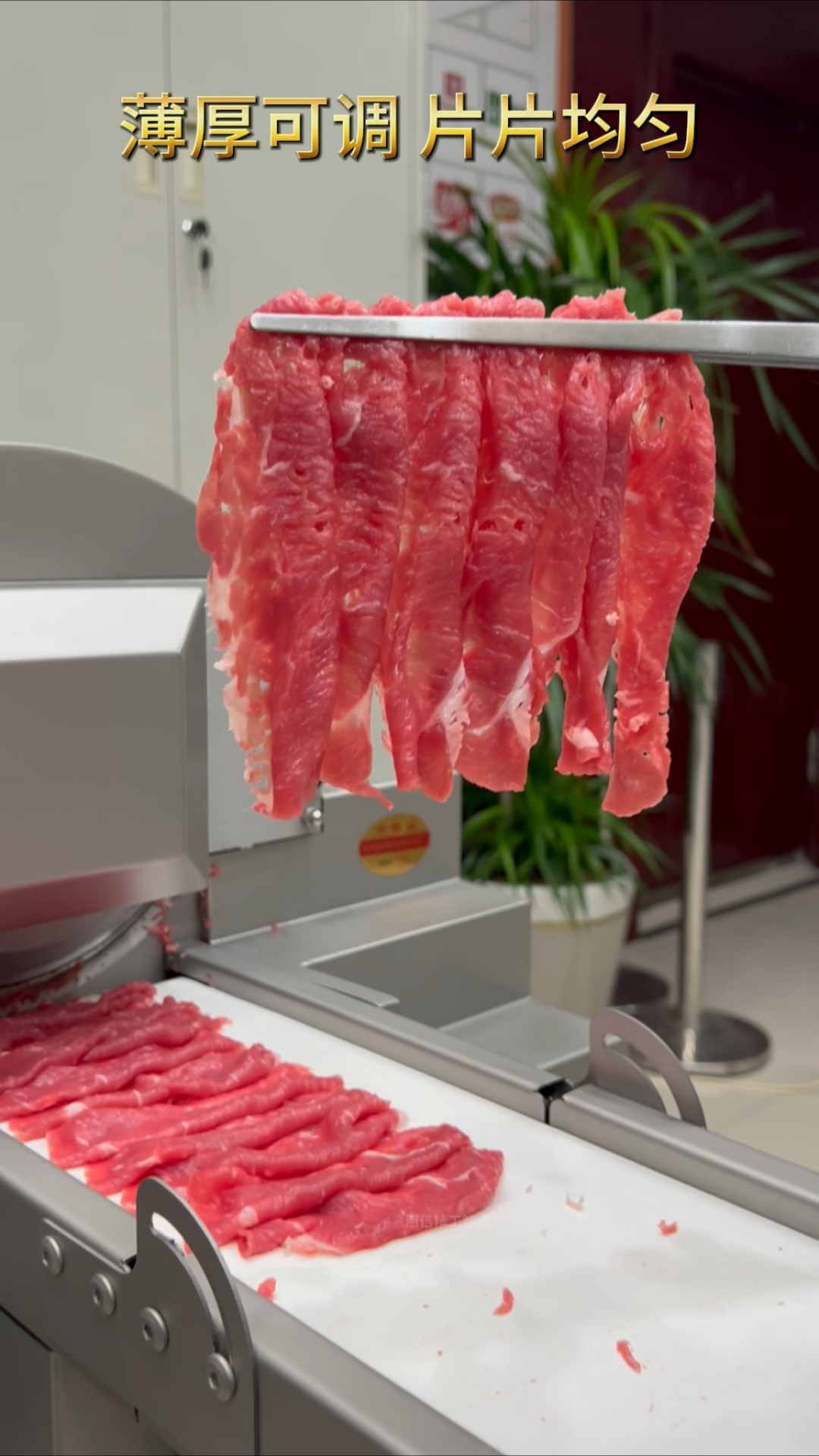 全自动鲜肉切片机#鲜肉切片机#鲜牛羊肉切片机#火锅店切肉机#