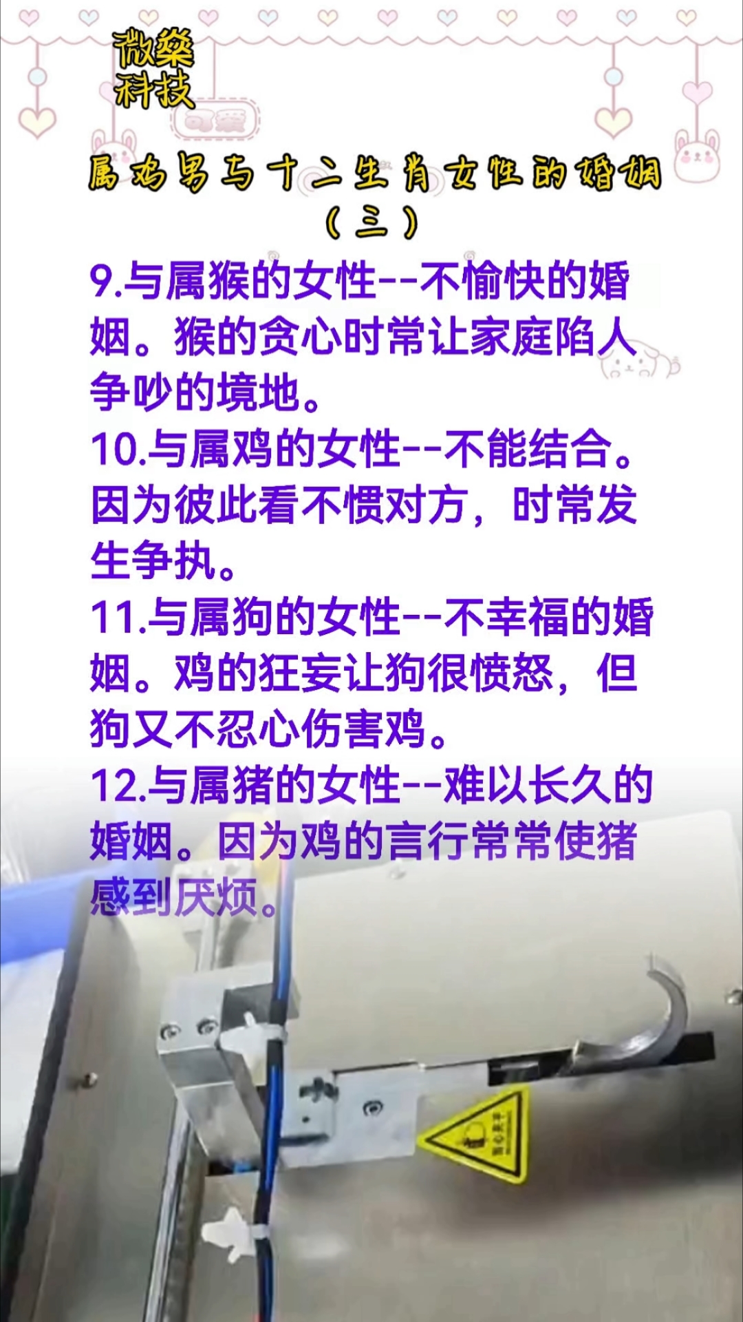 属鸡男与十二生肖女性的婚姻指南微燊科技自动化尼龙扎带机