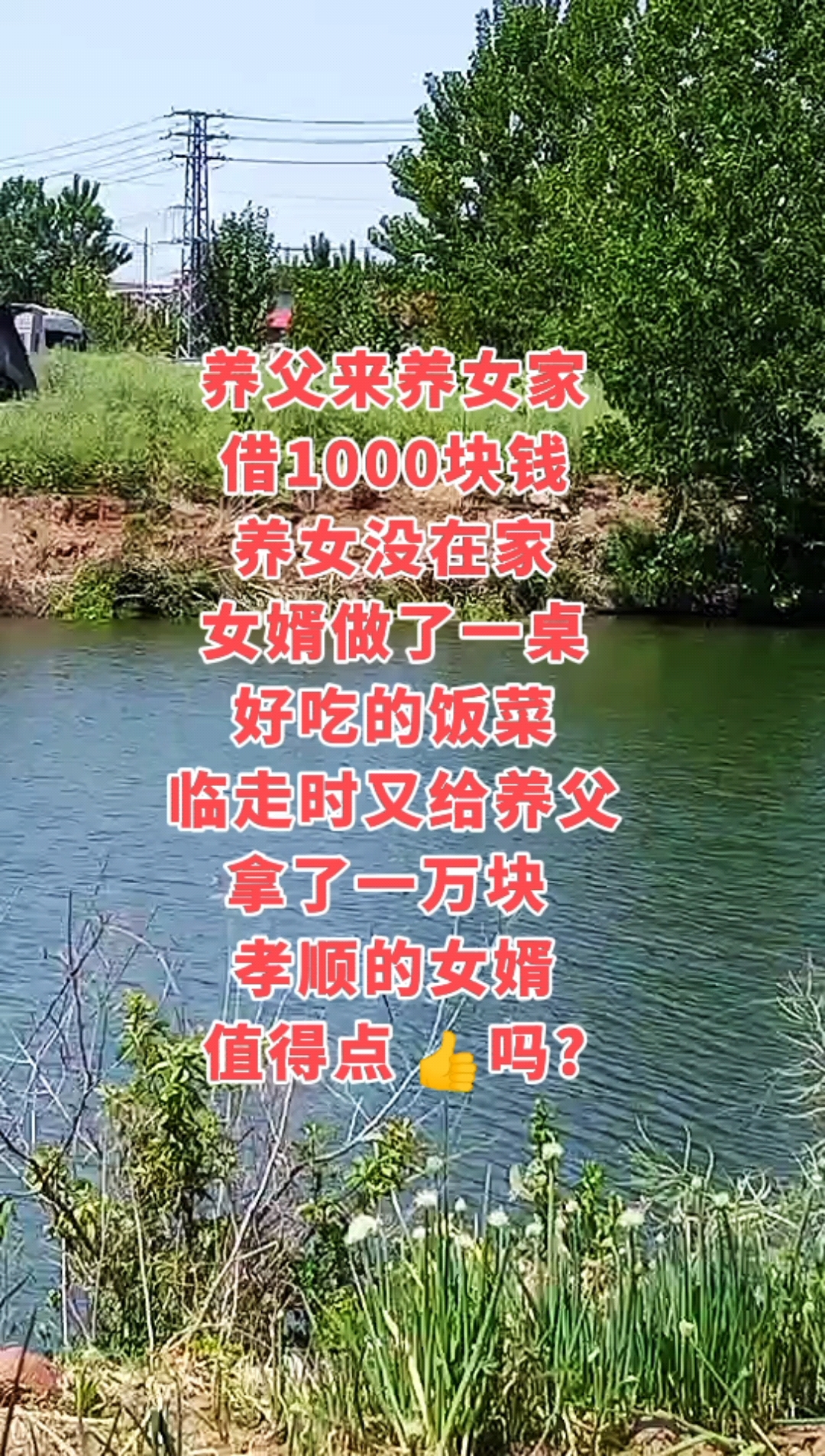 女婿做了一桌好吃的饭菜。