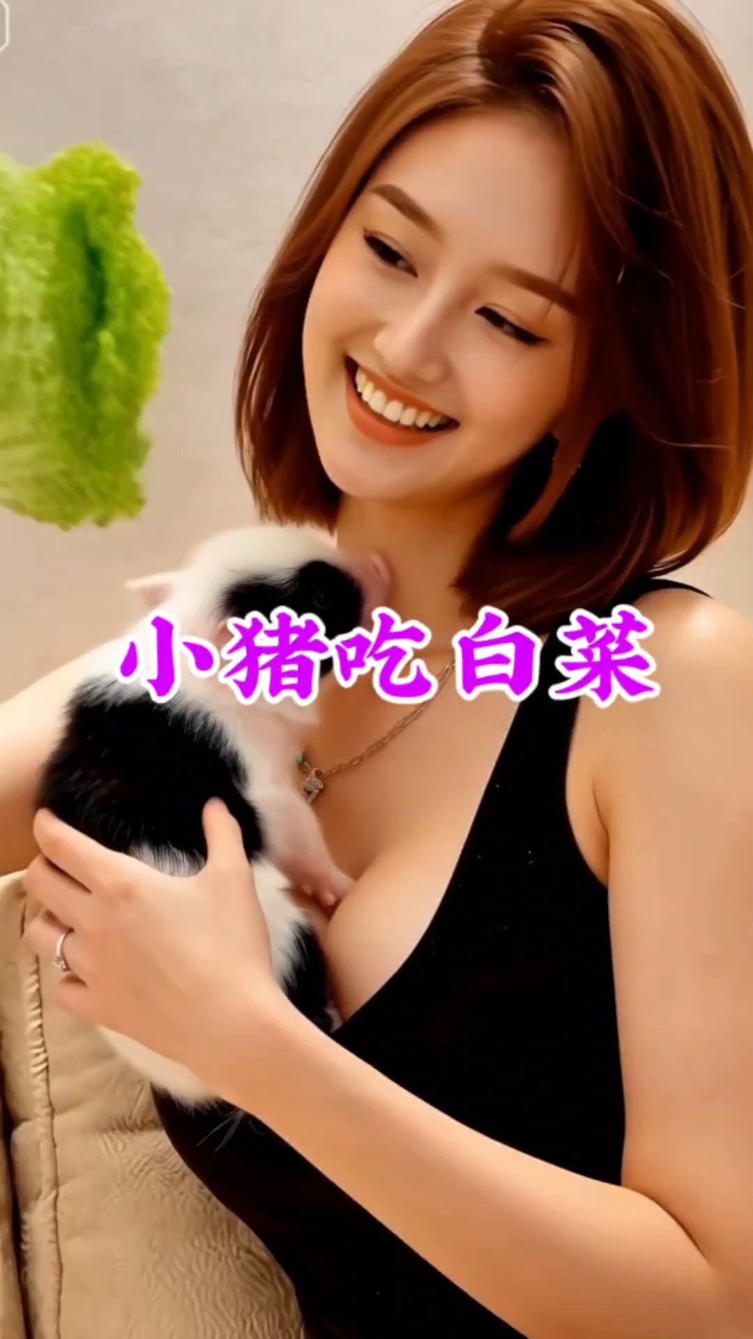 小猪吃白菜