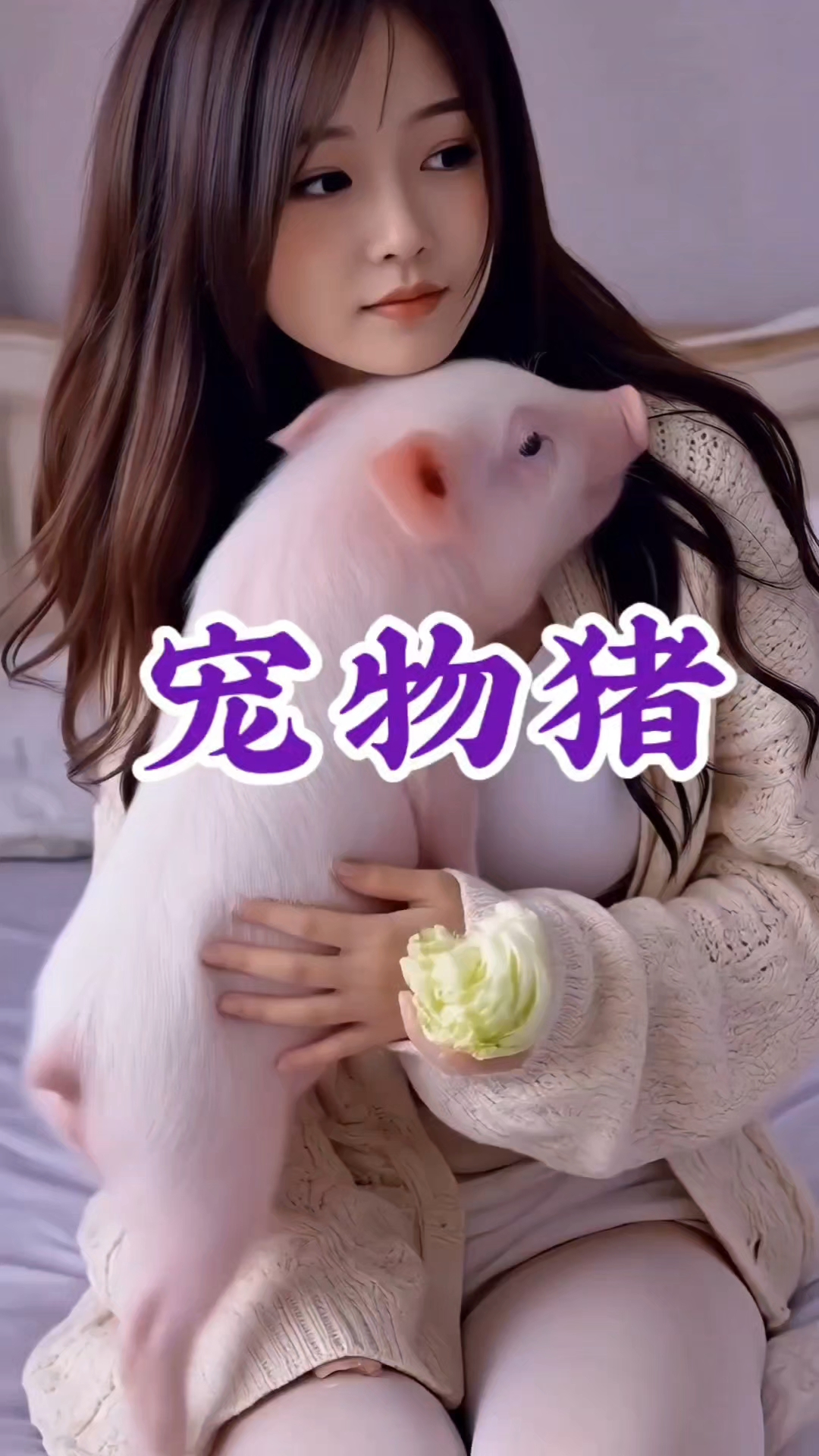 宠物猪吃白菜吗？一个视频告诉你！