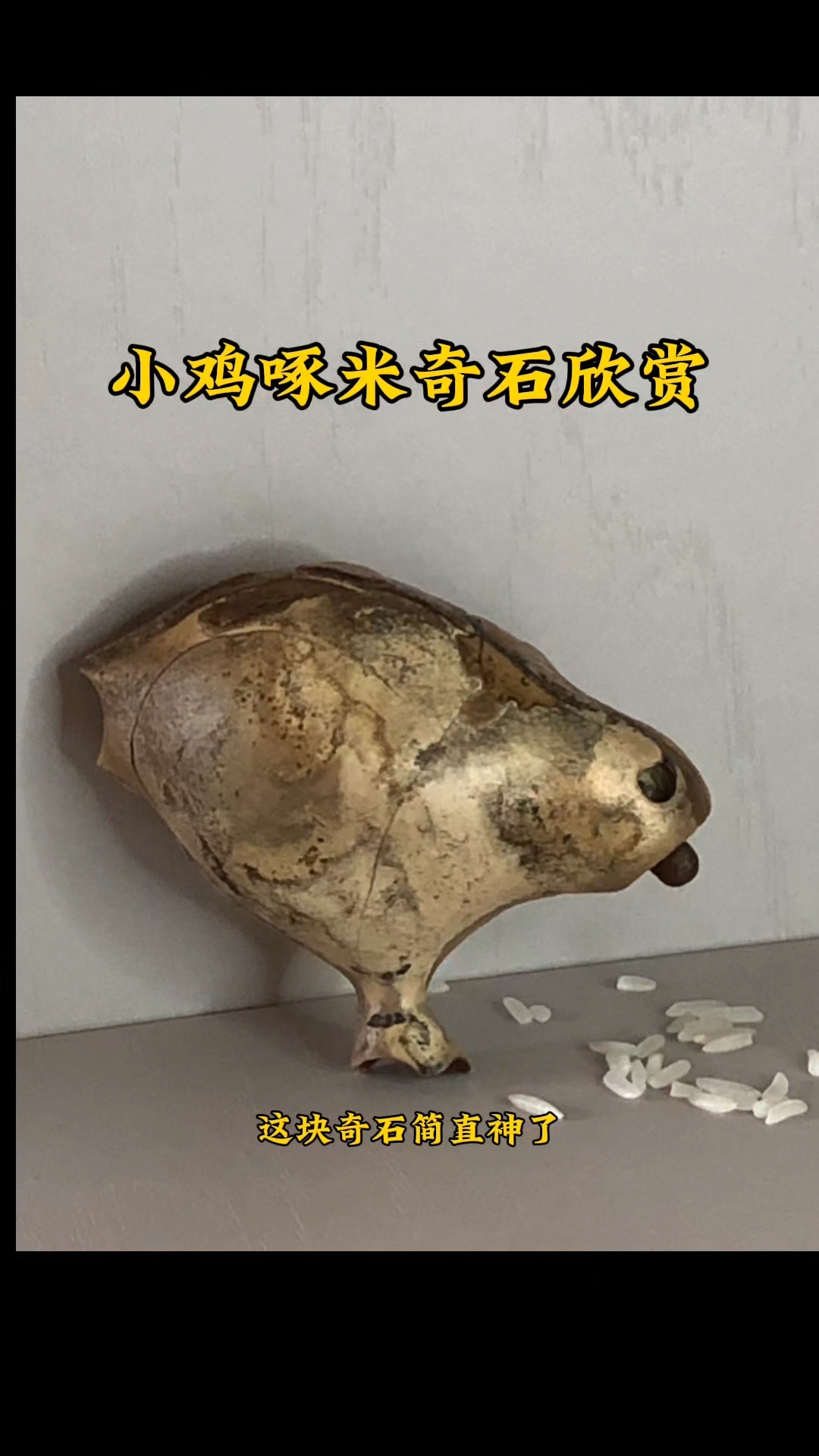小鸡啄米奇石欣赏